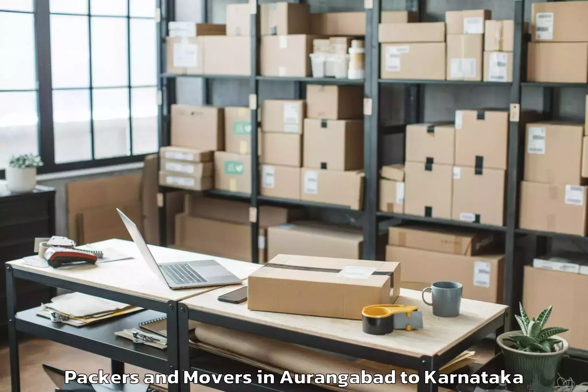 Professional Aurangabad to Jagalur Packers And Movers